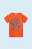 Boys Printed T-Shirt